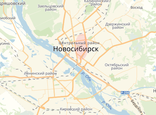 Карта Центрального района города Новосибирска