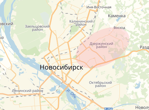 Карта Дзержинского района города Новосибирска
